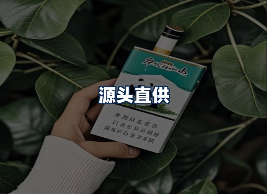专业团队办公环境